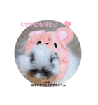 Minchopila3（個別スタンプ：38）