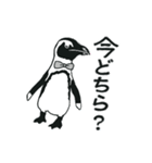 ペンギン執事とはしびろ侯爵の日常と季節編（個別スタンプ：13）