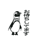 ペンギン執事とはしびろ侯爵の日常と季節編（個別スタンプ：15）