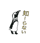 ペンギン執事とはしびろ侯爵の日常と季節編（個別スタンプ：27）