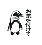 ペンギン執事とはしびろ侯爵の日常と季節編（個別スタンプ：33）