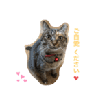 あんずちゃん其の6（個別スタンプ：16）