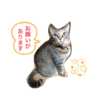 あんずちゃん其の6（個別スタンプ：17）