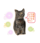 あんずちゃん其の6（個別スタンプ：19）