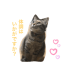 あんずちゃん其の6（個別スタンプ：20）