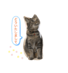 あんずちゃん其の6（個別スタンプ：29）