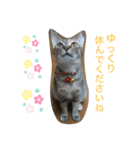 あんずちゃん其の6（個別スタンプ：34）