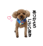 kai sta！！（個別スタンプ：1）