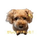 kai sta！！（個別スタンプ：2）