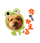 kai sta！！（個別スタンプ：5）