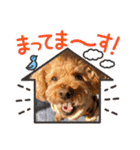 kai sta！！（個別スタンプ：6）