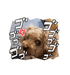 kai sta！！（個別スタンプ：13）