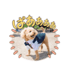 kai sta！！（個別スタンプ：14）