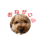 kai sta！！（個別スタンプ：16）