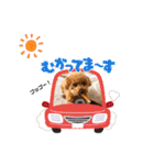 kai sta！！（個別スタンプ：18）