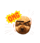 kai sta！！（個別スタンプ：20）