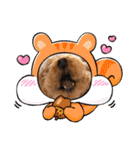 kai sta！！（個別スタンプ：23）