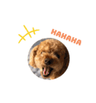 kai sta！！（個別スタンプ：24）