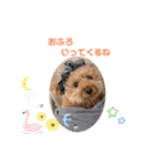 kai sta！！（個別スタンプ：25）
