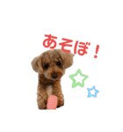kai sta！！（個別スタンプ：27）