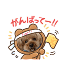 kai sta！！（個別スタンプ：29）