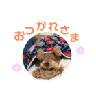 kai sta！！（個別スタンプ：31）