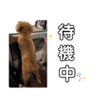 kai sta！！（個別スタンプ：34）