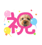 kai sta！！（個別スタンプ：38）