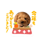 kai sta！！（個別スタンプ：40）