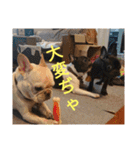 プタウタモガ（個別スタンプ：4）