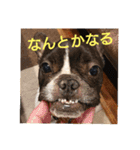 プタウタモガ（個別スタンプ：7）