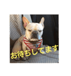 プタウタモガ（個別スタンプ：8）