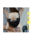 プタウタモガ（個別スタンプ：13）