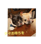 プタウタモガ（個別スタンプ：17）