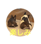 プタウタモガ（個別スタンプ：25）