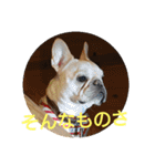 プタウタモガ（個別スタンプ：28）