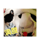 プタウタモガ（個別スタンプ：31）