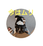 プタウタモガ（個別スタンプ：34）