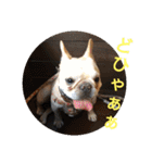 プタウタモガ（個別スタンプ：35）