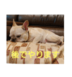 プタウタモガ（個別スタンプ：37）