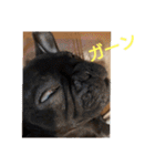 プタウタモガ（個別スタンプ：40）