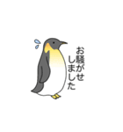 インコの敬語,丁寧語(たまにペンギン)（個別スタンプ：22）