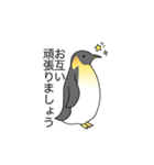 インコの敬語,丁寧語(たまにペンギン)（個別スタンプ：29）