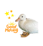 おかゆ スタンプ（個別スタンプ：1）