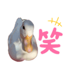 おかゆ スタンプ（個別スタンプ：2）