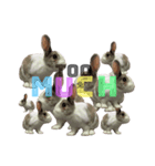 田田the rabbit-what！（個別スタンプ：6）
