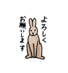 エゾユキウサギ（個別スタンプ：2）