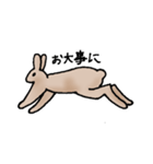 エゾユキウサギ（個別スタンプ：3）