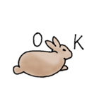 エゾユキウサギ（個別スタンプ：6）