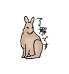エゾユキウサギ（個別スタンプ：8）